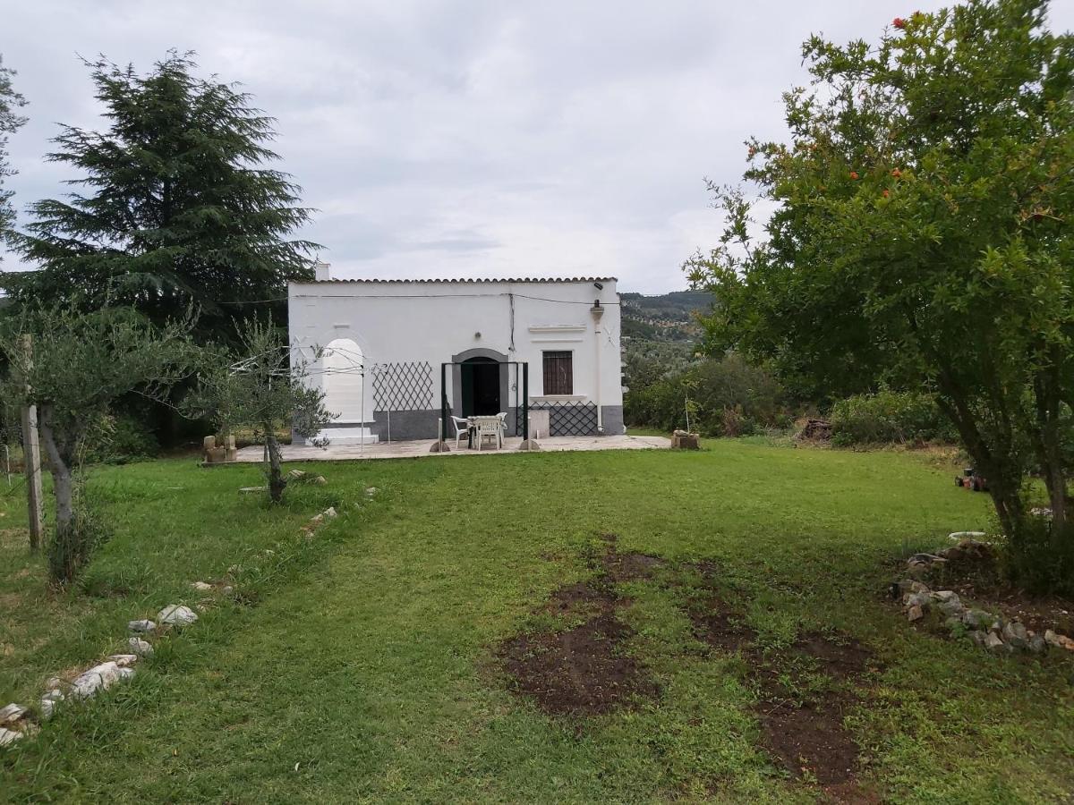 Casa Colonica Di Campagna Come Era Una Volta Пешичи Екстериор снимка